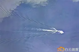 持续“亮剑”！禁渔期结束，白云渔政执法不放松图片