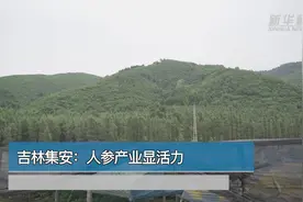 世界那么大丨吉林集安：人参产业显活力视频封面