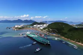 从出口主导到进出口并重 外贸大省如何与世界建立全新连接？图片