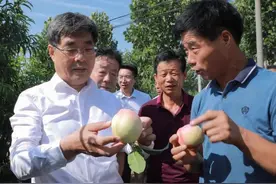 7月8日新闻中的咸阳事图片