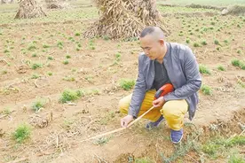 确实权 颁铁证——我市农村土地承包经营权确权登记颁证工作综述图片