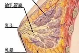 亓发芝教授解析三亚隆胸包膜挛缩如何影响术后乳房形态手感图片