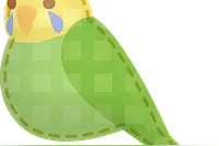 安徽中考英语作文题刚刚出炉！2020合肥中考平稳落幕图片