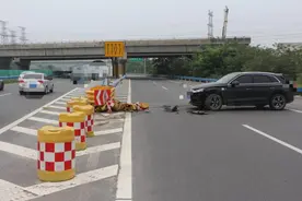 高速上窜出一只猫，咋躲避？听听高速交警支招图片