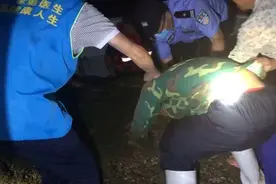 深夜，青岛一男子出海钓鱼！开着开着，船翻了…图片