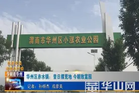 华州区赤水镇：昔日撂荒地 今朝致富园图片