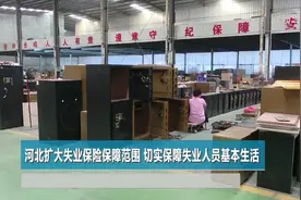 河北扩大失业保险保障范围 切实保障失业人员基本生活视频封面