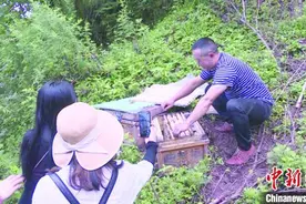 重庆万州：贫困村里酿出“致富蜜”图片