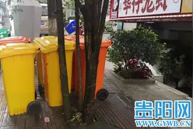 贵阳部分餐饮店集中路段垃圾桶放置不规范 垃圾不分类异味刺鼻图片