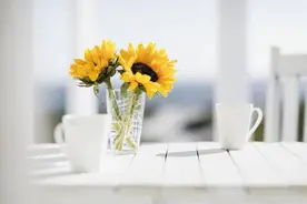 嘿！你脖子还好吗？请背对镜子自拍检测图片