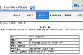 贾跃亭回国尚无归期 甘薇又被法院限制出境图片