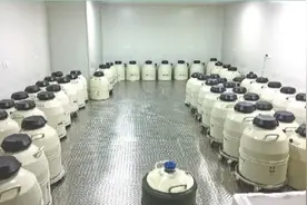 50岁女子高龄受孕产子终圆梦图片