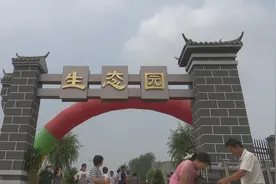菏泽市单县郭村镇“头雁新农”生态采摘园项目揭牌图片