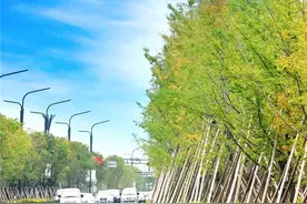 "小上海"兰溪的十年变迁，从工厂凋敝到自然美景重现图片