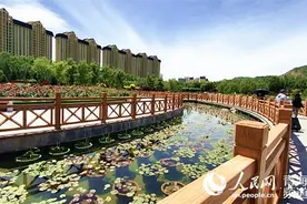 绿色发展的西宁样板图片
