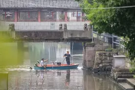 警惕！宁波许多河边发现这种粉红色的卵！图片