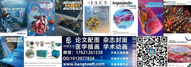 涓闄㈤潚鑳芥墍鏉庢湞鏃洟闃熴€夾CS Nano銆嬶細瀛ｉ摰鍖栬殨涓濈撼绫崇氦缁寸敤浜庢箍姘斿彂鐢典笌绂诲瓙鏁存祦