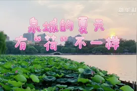 泉城的夏天 有“荷”不一样视频封面
