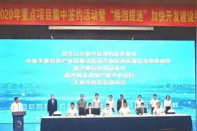 广州南沙今年已动工签约113个项目图片