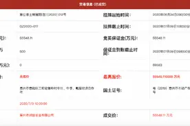 海伦堡底价5.56亿元拿下三和6.67万平米地块图片