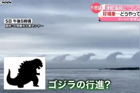 日本海域惊现一大群“哥斯拉”：排成列队在海上“行进”图片