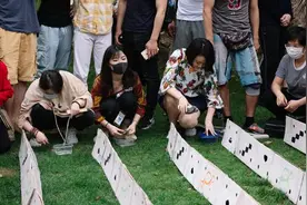 沪上一日｜给乌龟加油的人图片