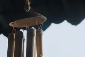 一杯青梅酒 开启饭桌上的万千种佐餐可能性图片