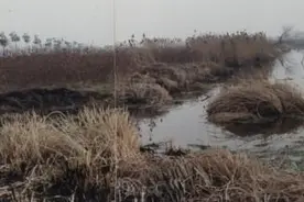 亡命天涯33年后，他终于承认杀害了女友图片