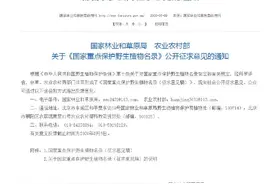 国家重点保护野生植物名录征求意见了！104种兰花拟新增为重点保护植物图片