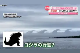 海上惊现大群“哥斯拉”，低着头“列队行进”……究竟是什么？图片