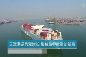 天津港逆势双增长 集装箱吞吐量创新高视频封面