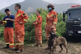 黄梅县袁山村山体滑坡后续：从废墟中发现第三个人的是搜救犬赛虎图片
