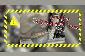 广州车主42万购置奥迪，提车时发现“蚂蚁”入侵引擎盖视频封面