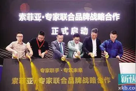 索菲亚联手 五大专家品牌进攻市场图片