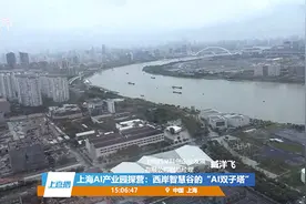 上海AI产业园走访手记｜尝鲜体验西岸智慧谷的AI双子塔图片