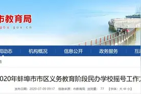 蚌埠市市区义务教育民办学校摇号方案公布图片