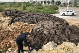 揭秘！跨市倾倒垃圾背后的暴利产业链图片