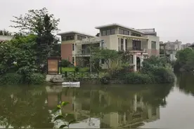 福建一涉区块链犯罪团伙被抓：骗数字货币 金额过亿图片