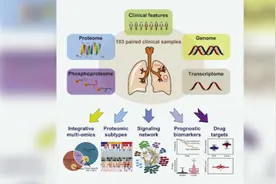 中国科学家首揭肺腺癌分子全景视频封面