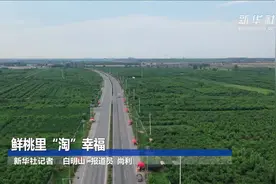 鲜桃里“淘”幸福视频封面
