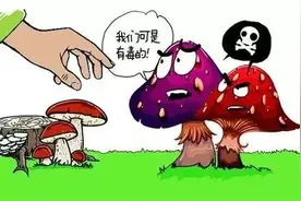 放在冰箱里的食物就不用担心变质了？ 为你解析11个食品安全误区图片