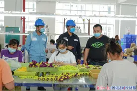 广西都安电网建设正如火如荼开展图片