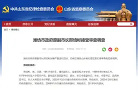 刚刚通报！潍坊市原副市长被查，已退休7年图片
