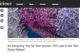 “圣保罗病人”将成第三例艾滋病治愈者？专家：有待观察图片