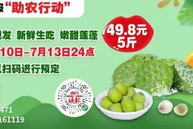 江苏出现登革热传染病！通过蚊子传播图片