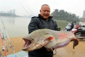岳阳水库捞出1米多长145斤大鱼，工作人员：不好吃图片