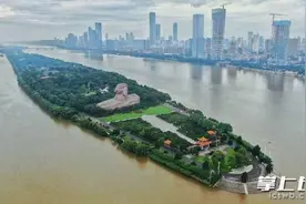 湘江长沙站迎来洪峰 橘子洲将紧急闭园图片