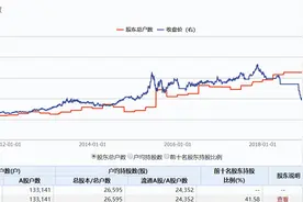 百亿造假*ST康得暂停上市，13万股东被坑惨，律师：实控人或面临刑责图片