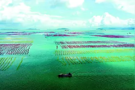 被通报要求整改，为什么两年过去了，一些项目还是毫无进展？图片
