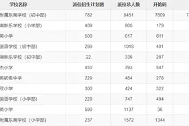 黄江民办学校电脑派位招生录取结果出炉图片